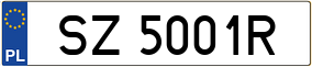 Trailer License Plate